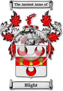Blight Family Crest Download (jpg) Legacy Series - 150 DPI