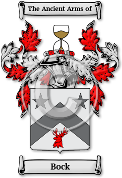 Bock Family Crest Download (jpg) Legacy Series - 150 DPI