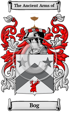 Bog Family Crest/Coat of Arms