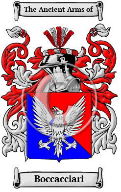 Boccacciari Family Crest/Coat of Arms