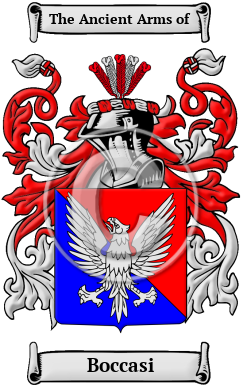 Boccasi Family Crest/Coat of Arms