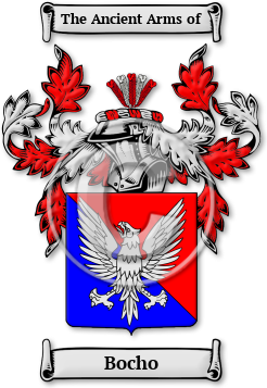 Bocho Family Crest Download (jpg) Legacy Series - 150 DPI