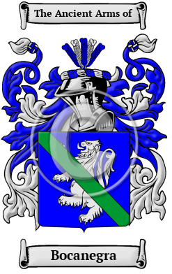 Bocanegra Family Crest/Coat of Arms