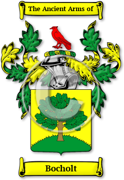 Bocholt Family Crest Download (jpg) Legacy Series - 150 DPI