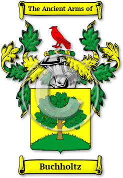 Buchholtz Family Crest Download (JPG) Legacy Series - 600 DPI