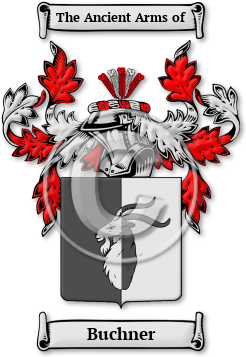 Buchner Family Crest Download (JPG) Legacy Series - 600 DPI
