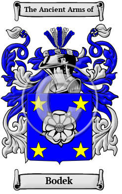 Bodek Family Crest/Coat of Arms