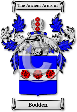 Bodden Family Crest Download (JPG) Legacy Series - 600 DPI