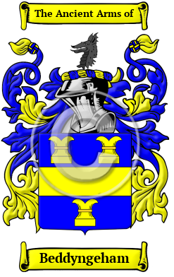 Beddyngeham Family Crest/Coat of Arms