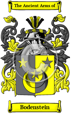Bodenstein Family Crest/Coat of Arms