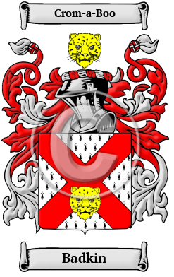 Badkin Family Crest/Coat of Arms