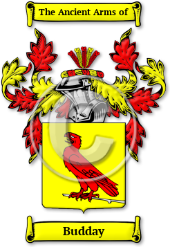 Budday Family Crest Download (JPG) Legacy Series - 600 DPI