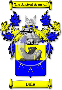 Bole Family Crest Download (jpg) Legacy Series - 150 DPI