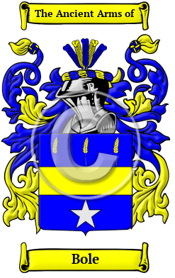 Bole Family Crest/Coat of Arms