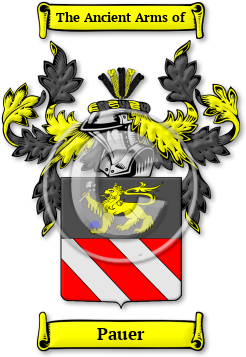Pauer Family Crest Download (jpg) Legacy Series - 150 DPI