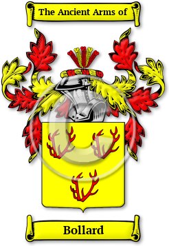 Bollard Family Crest Download (JPG) Legacy Series - 600 DPI