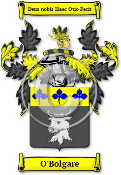 O'Bolgare Family Crest Download (JPG) Legacy Series - 600 DPI