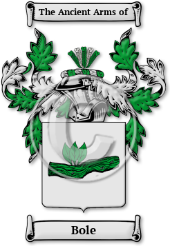 Bole Family Crest Download (JPG) Legacy Series - 300 DPI