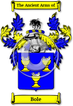 Bole Family Crest Download (jpg) Legacy Series - 150 DPI
