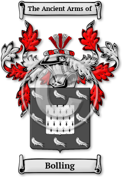 Bolling Family Crest Download (jpg) Legacy Series - 150 DPI