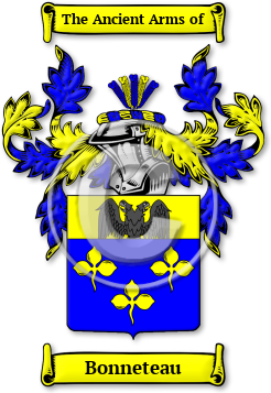 Bonneteau Family Crest Download (jpg) Legacy Series - 150 DPI