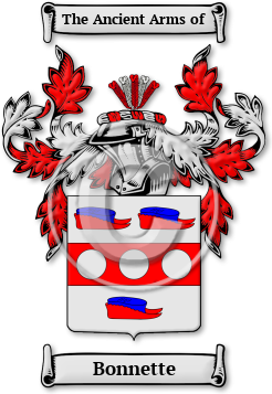Bonnette Family Crest Download (jpg) Legacy Series - 150 DPI