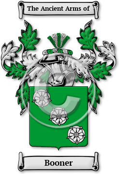 Booner Family Crest Download (JPG) Legacy Series - 600 DPI