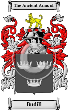 Budill Family Crest/Coat of Arms