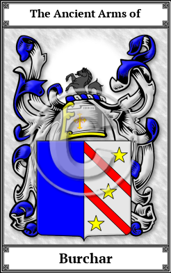 Burchar Family Crest Download (JPG)  Book Plated - 150 DPI