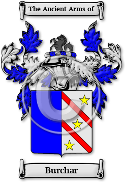 Burchar Family Crest Download (jpg) Legacy Series - 150 DPI