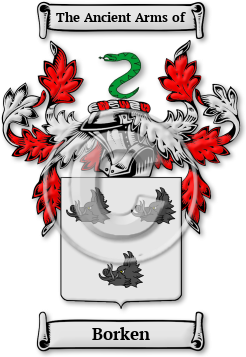 Borken Family Crest Download (jpg) Legacy Series - 150 DPI