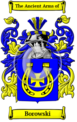 Borowski Family Crest/Coat of Arms