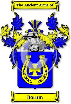 Borum Family Crest Download (JPG) Legacy Series - 600 DPI
