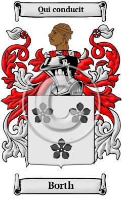 Borth Family Crest/Coat of Arms