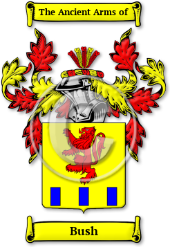Bush Family Crest Download (jpg) Legacy Series - 150 DPI