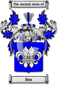 Bos Family Crest Download (jpg) Legacy Series - 150 DPI