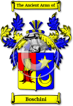 Boschini Family Crest Download (jpg) Legacy Series - 150 DPI