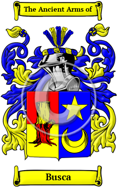 Busca Family Crest/Coat of Arms