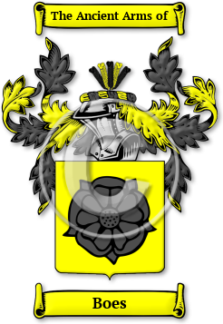 Boes Family Crest Download (jpg) Legacy Series - 150 DPI