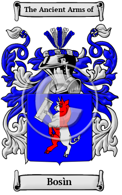 Bosìn Family Crest/Coat of Arms