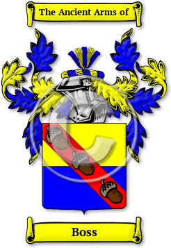 Boss Family Crest Download (JPG) Legacy Series - 600 DPI