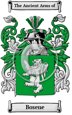 Bosene Name Meaning, Family History, Family Crest & Coats of Arms