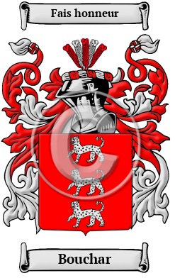 Bouchar Family Crest/Coat of Arms
