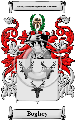 Boghey Family Crest/Coat of Arms