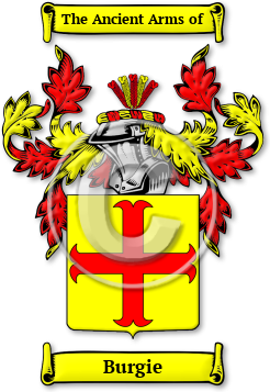 Burgie Family Crest Download (jpg) Legacy Series - 150 DPI