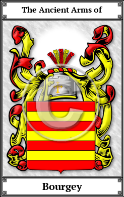 Bourgey Family Crest Download (JPG)  Book Plated - 150 DPI