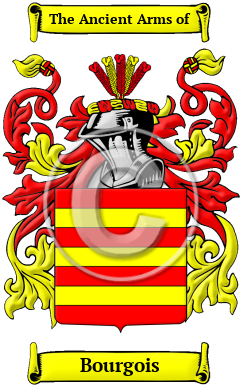 Bourgois Family Crest/Coat of Arms