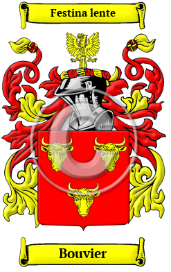 Bouvier Family Crest/Coat of Arms