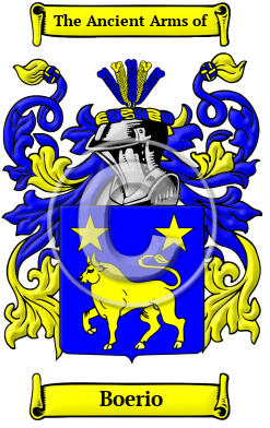 Boerio Family Crest/Coat of Arms