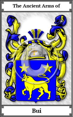 Bui Family Crest Download (JPG)  Book Plated - 150 DPI